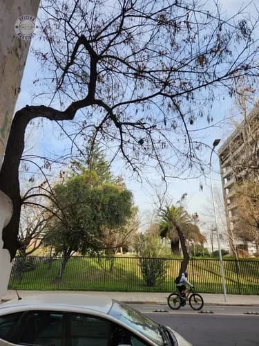Departamento En Arriendo De 1 Dorm. En Santiago — foto 22 de 30